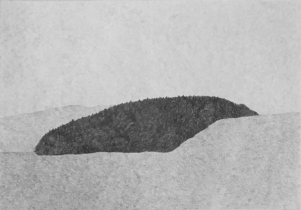Bosc, 2013 Grafit sobre paper 42 x 59'4 cm