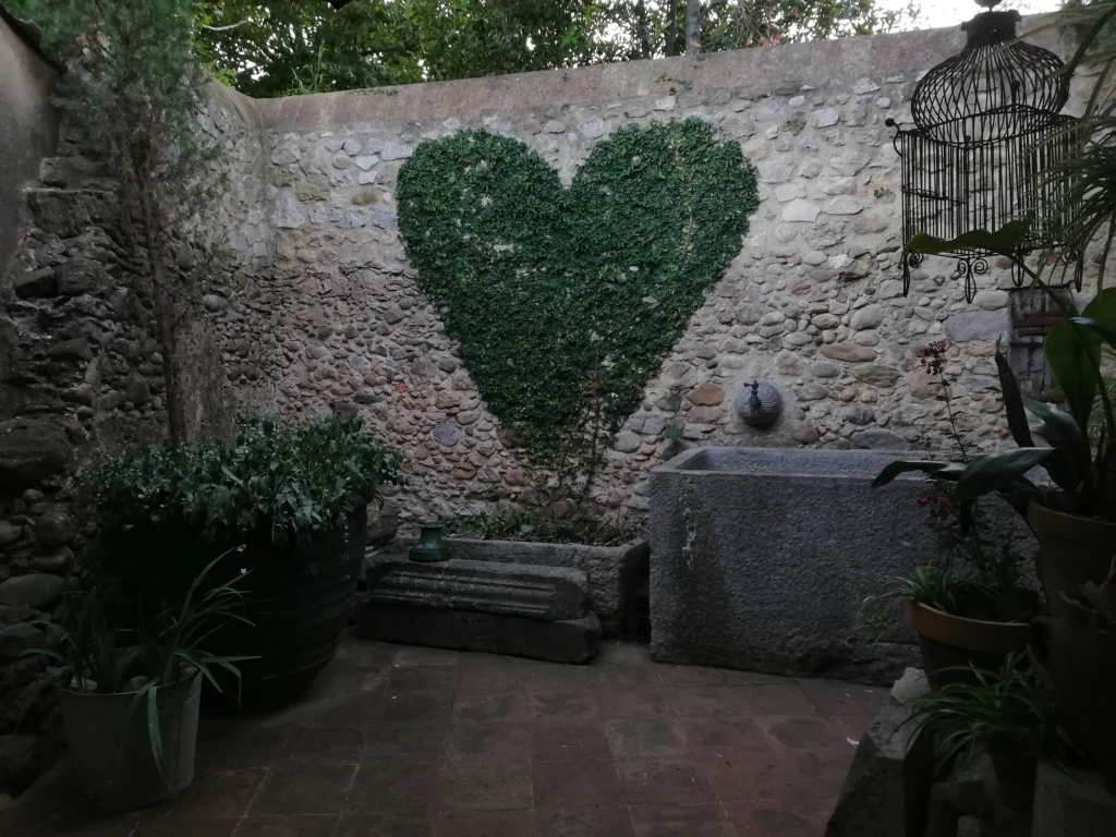 Comiat de la casa, setembre 2019