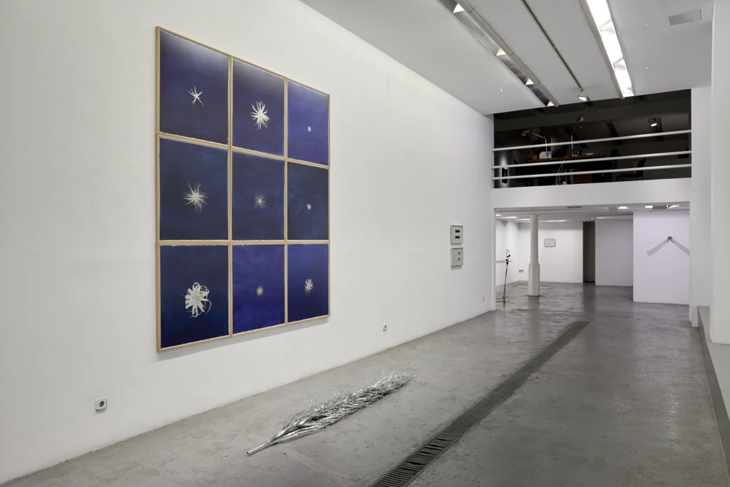 Esclatar en flors 2024 28/6 – 31/7 2024 galeria esther montoriol, Barcelona festival Art Nou Primera Visió premi Wittmore Art Nou 2024