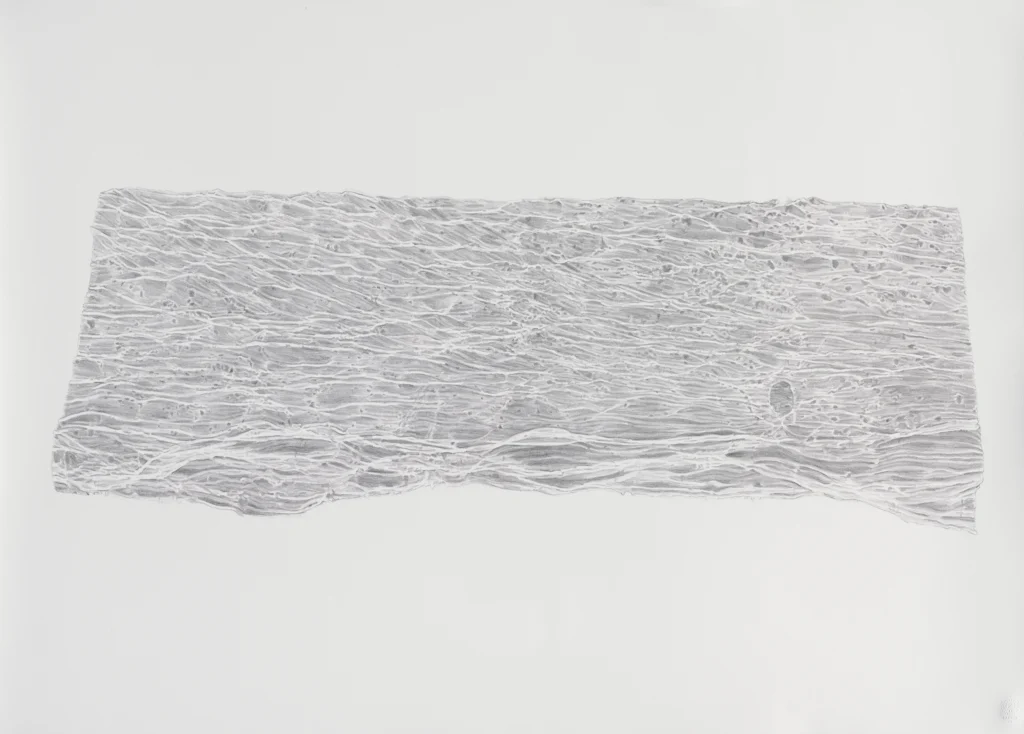 Ombra, 2016 Grafit sobre paper 73 x 102 cm