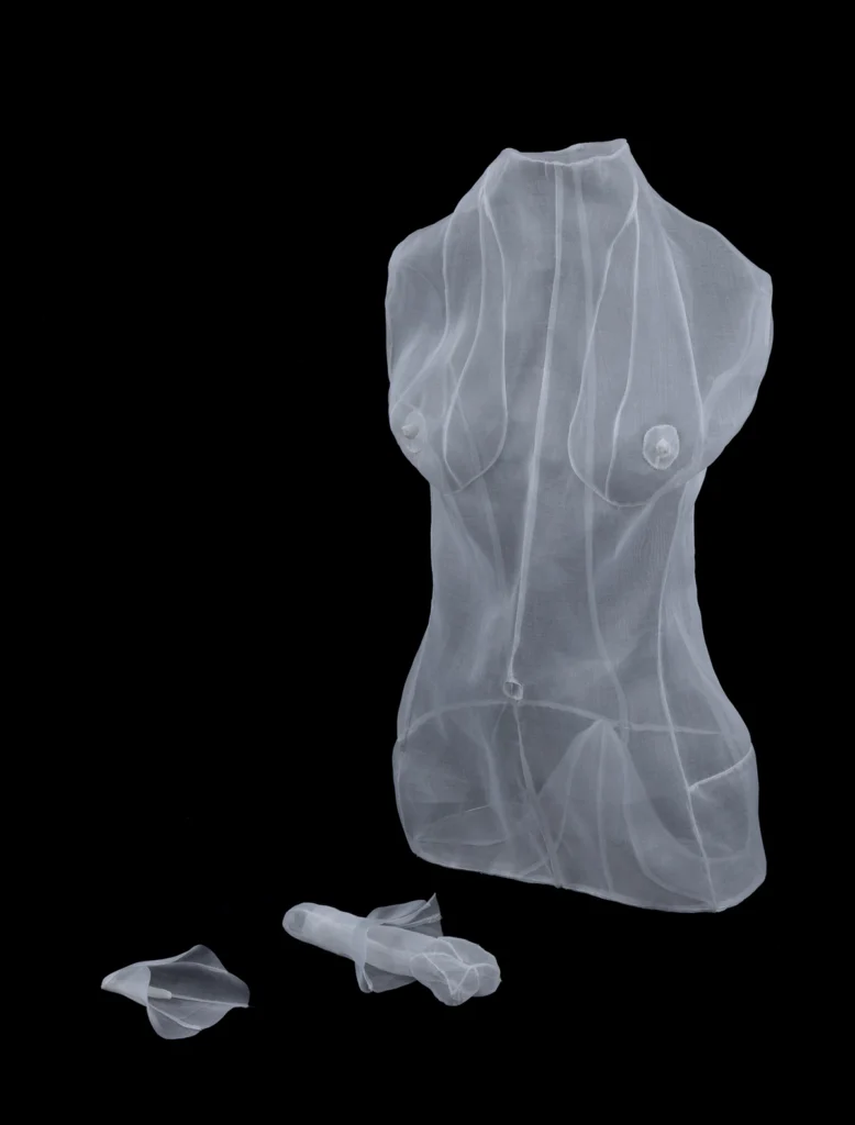 Perquè has vingut, 2019 organdí de cotó i alumini 64 x 35 x 20 cm, 7 x 20'5 x 10'5 cm, 5 x 12 x 9 cm