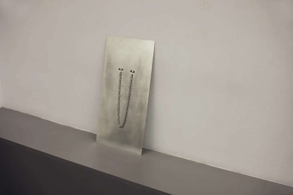 Pes, 2024 Llauna, acer 60 x 30 x 1 cm