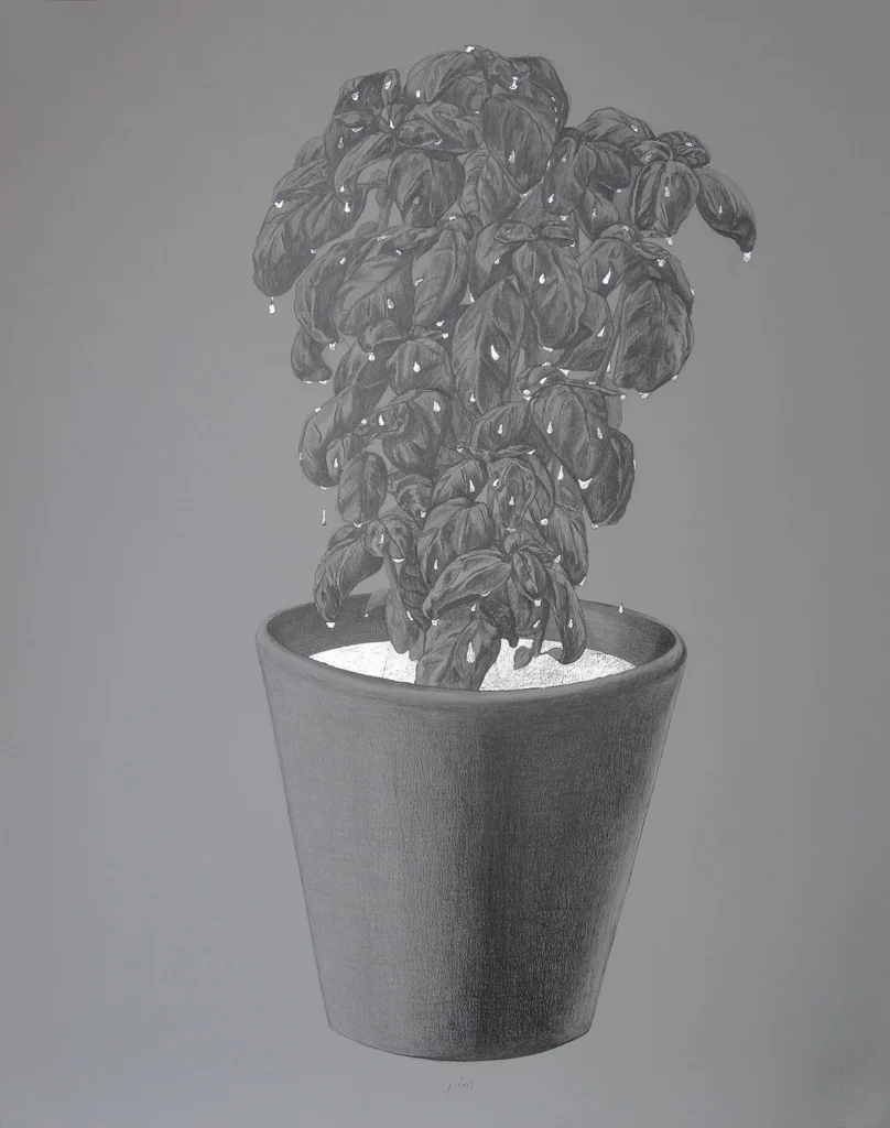 Plor, 2017 Grafit i pa de plata sobre paper 61 x 48'5 cm