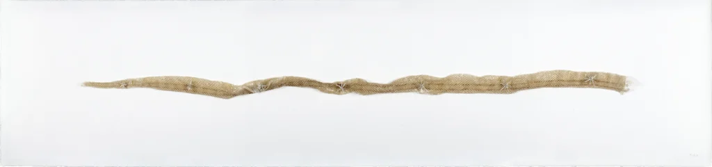 Rastre, 2020 muda de serp i plata 25 x 108'5 cm