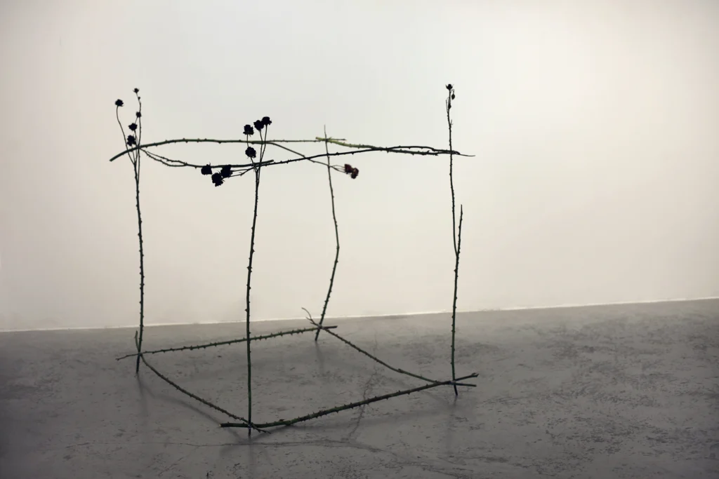 Sense títol, 2024 Branques de roser, alumini 125 x 120 x 120 cm